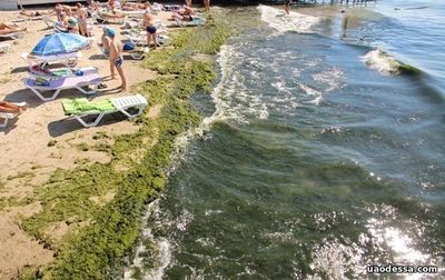 В Одессе на части побережья морская вода не соответствует санитарным